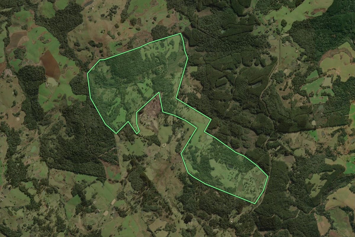 Imagem de satélite do imóvel rural em Curitibanos (SC), com o contorno declarado no CAR desenhado por cima.