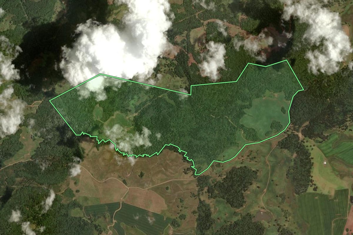 Imagem de satélite do imóvel rural em Curitibanos (SC), com o contorno declarado no CAR desenhado por cima.