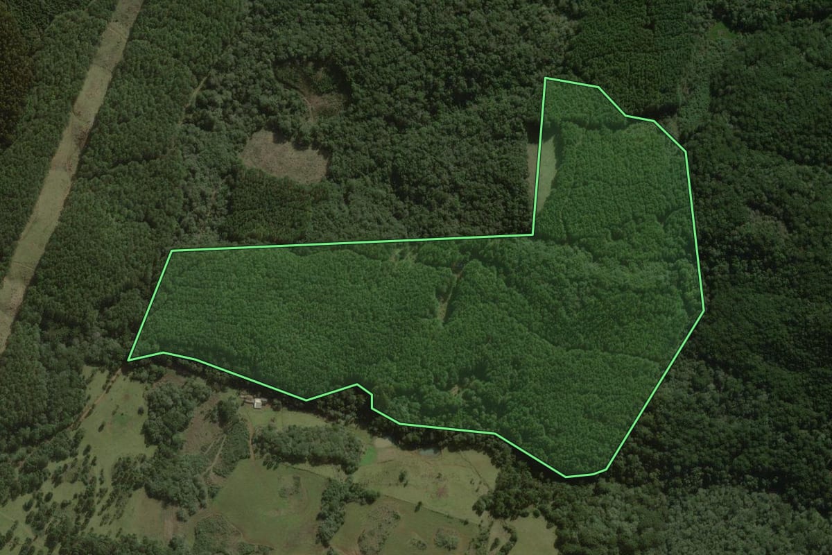Imagem de satélite do imóvel rural em Curitibanos (SC), com o contorno declarado no CAR desenhado por cima.