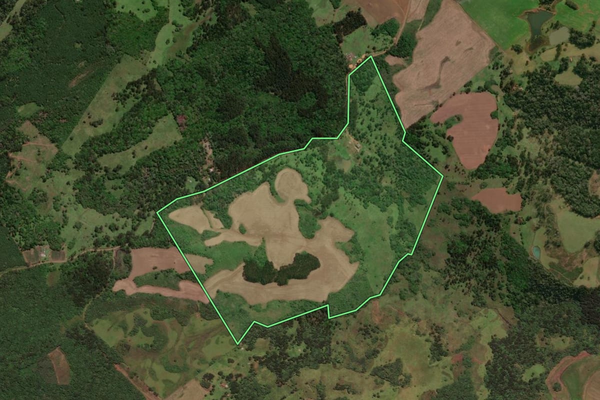 Imagem de satélite do imóvel rural em Curitibanos (SC), com o contorno declarado no CAR desenhado por cima.