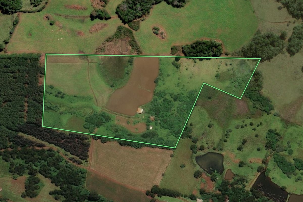 Imagem de satélite do imóvel rural em Curitibanos (SC), com o contorno declarado no CAR desenhado por cima.