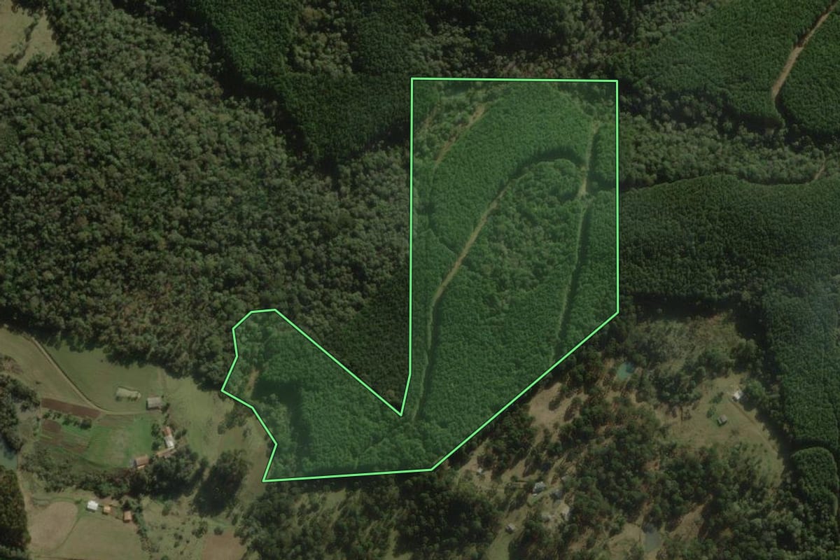 Imagem de satélite do imóvel rural em Curitibanos (SC), com o contorno declarado no CAR desenhado por cima.