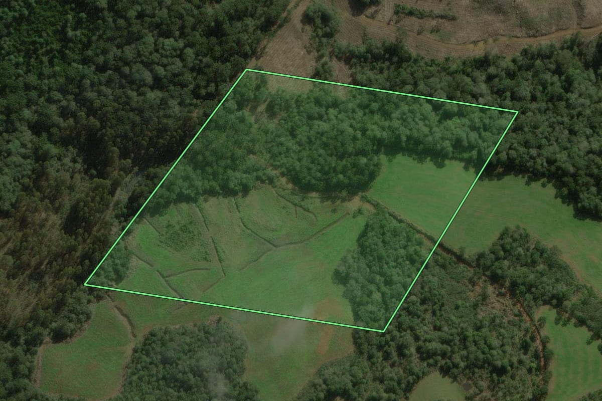 Imagem de satélite do imóvel rural em Curitibanos (SC), com o contorno declarado no CAR desenhado por cima.
