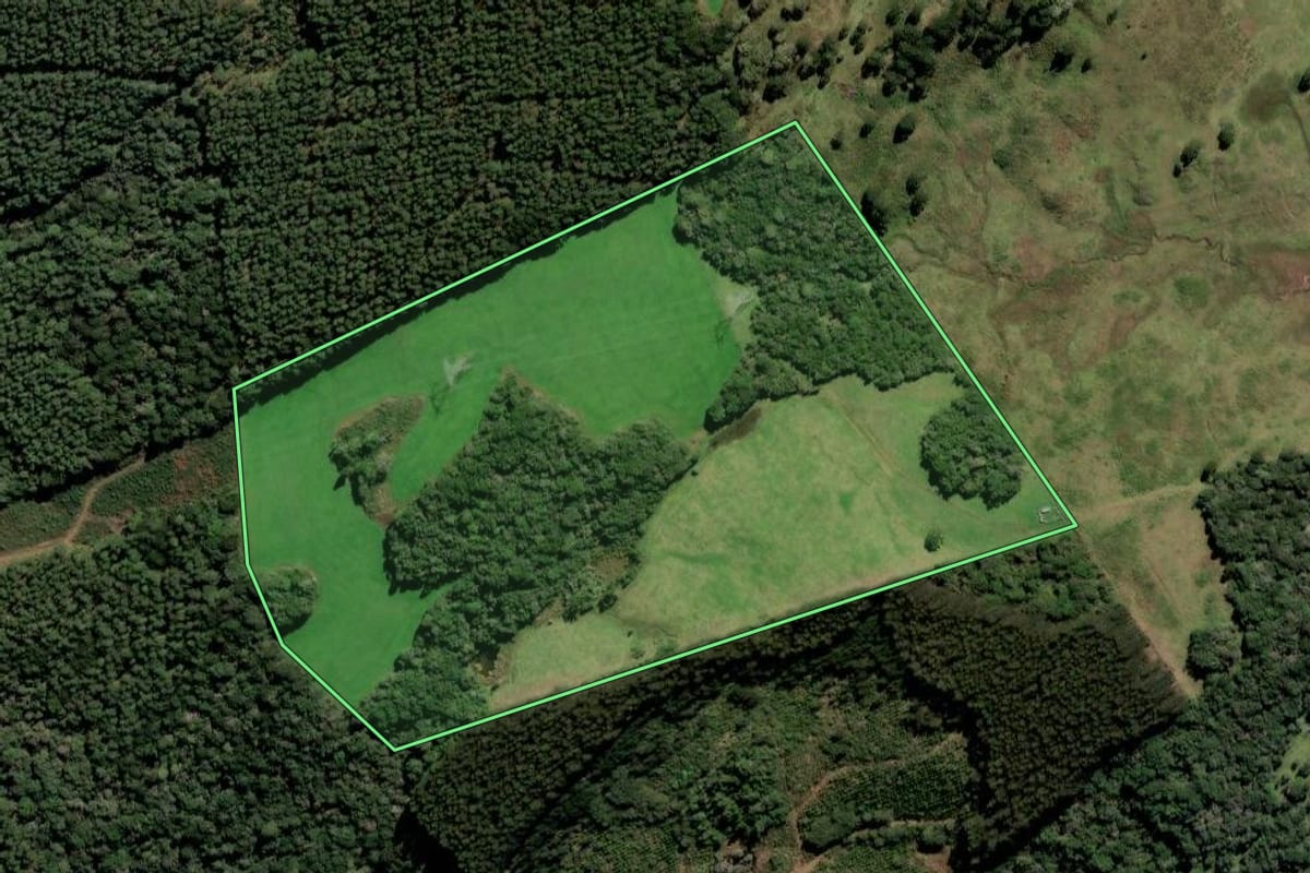 Imagem de satélite do imóvel rural em Curitibanos (SC), com o contorno declarado no CAR desenhado por cima.