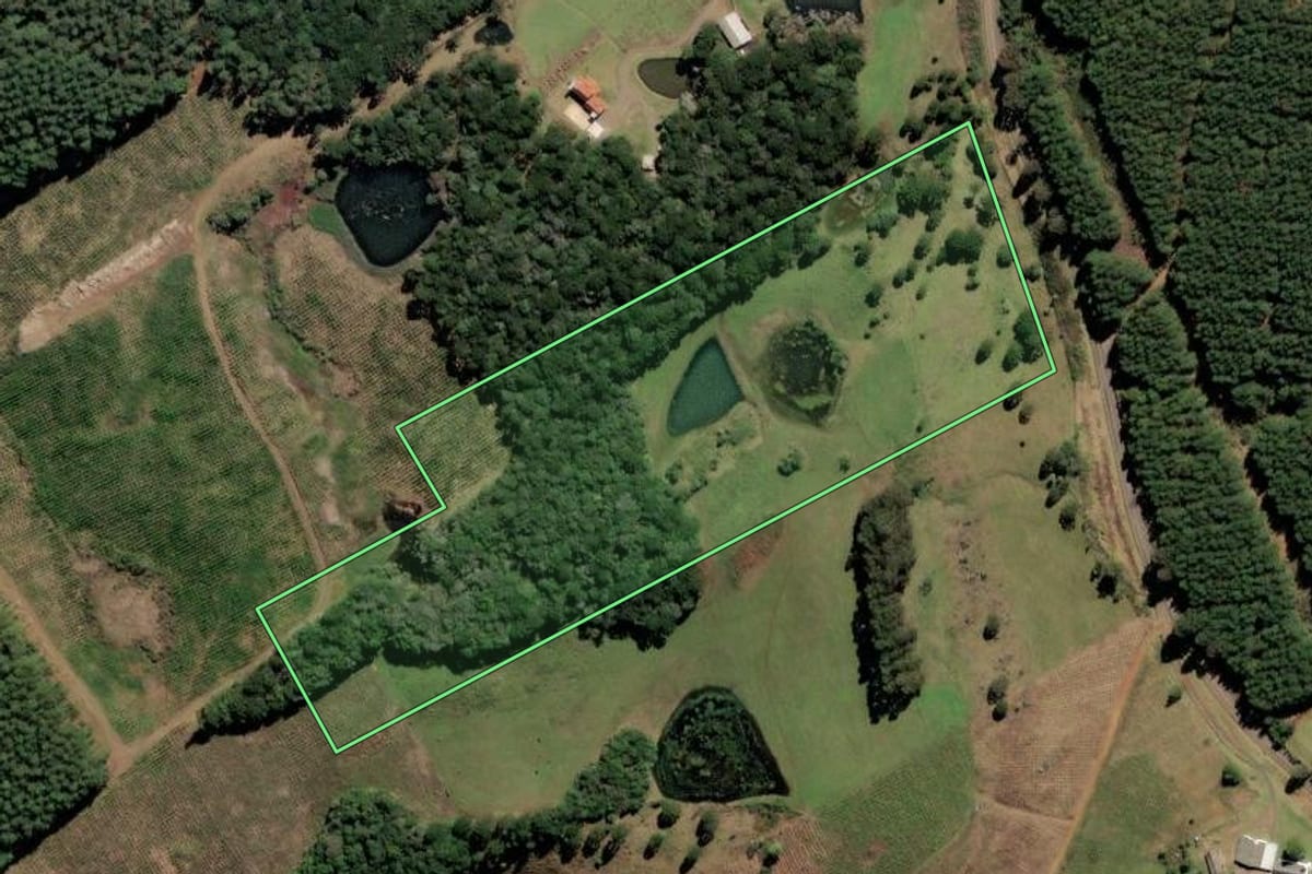 Imagem de satélite do imóvel rural em Curitibanos (SC), com o contorno declarado no CAR desenhado por cima.