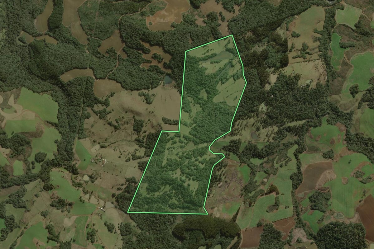 Imagem de satélite do imóvel rural em Curitibanos (SC), com o contorno declarado no CAR desenhado por cima.