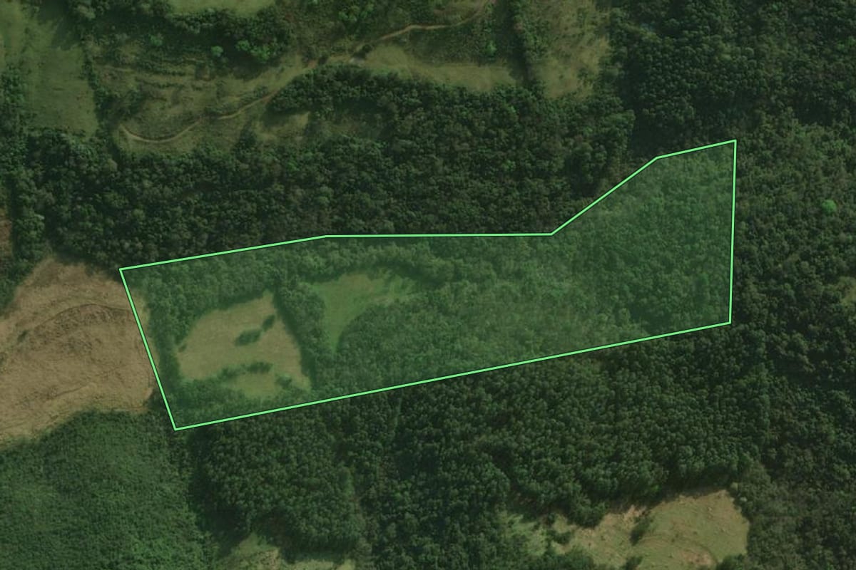 Imagem de satélite do imóvel rural em Descanso (SC), com o contorno declarado no CAR desenhado por cima.