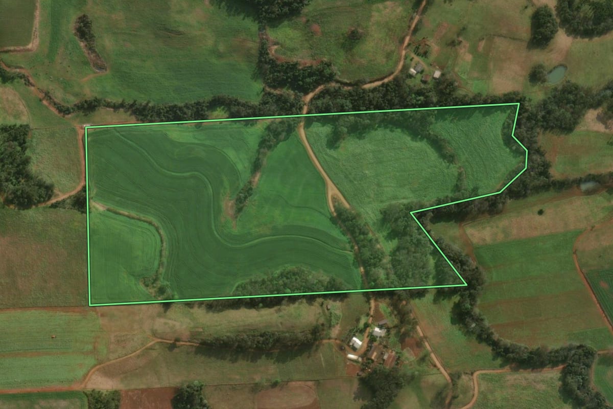 Imagem de satélite do imóvel rural em Descanso (SC), com o contorno declarado no CAR desenhado por cima.