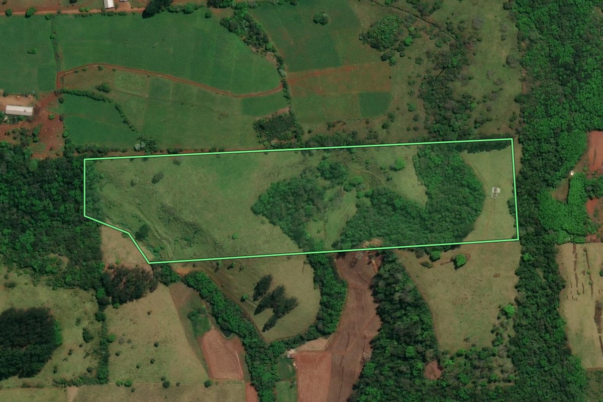 Imagem de satélite do imóvel rural em Descanso (SC), com o contorno declarado no CAR desenhado por cima.