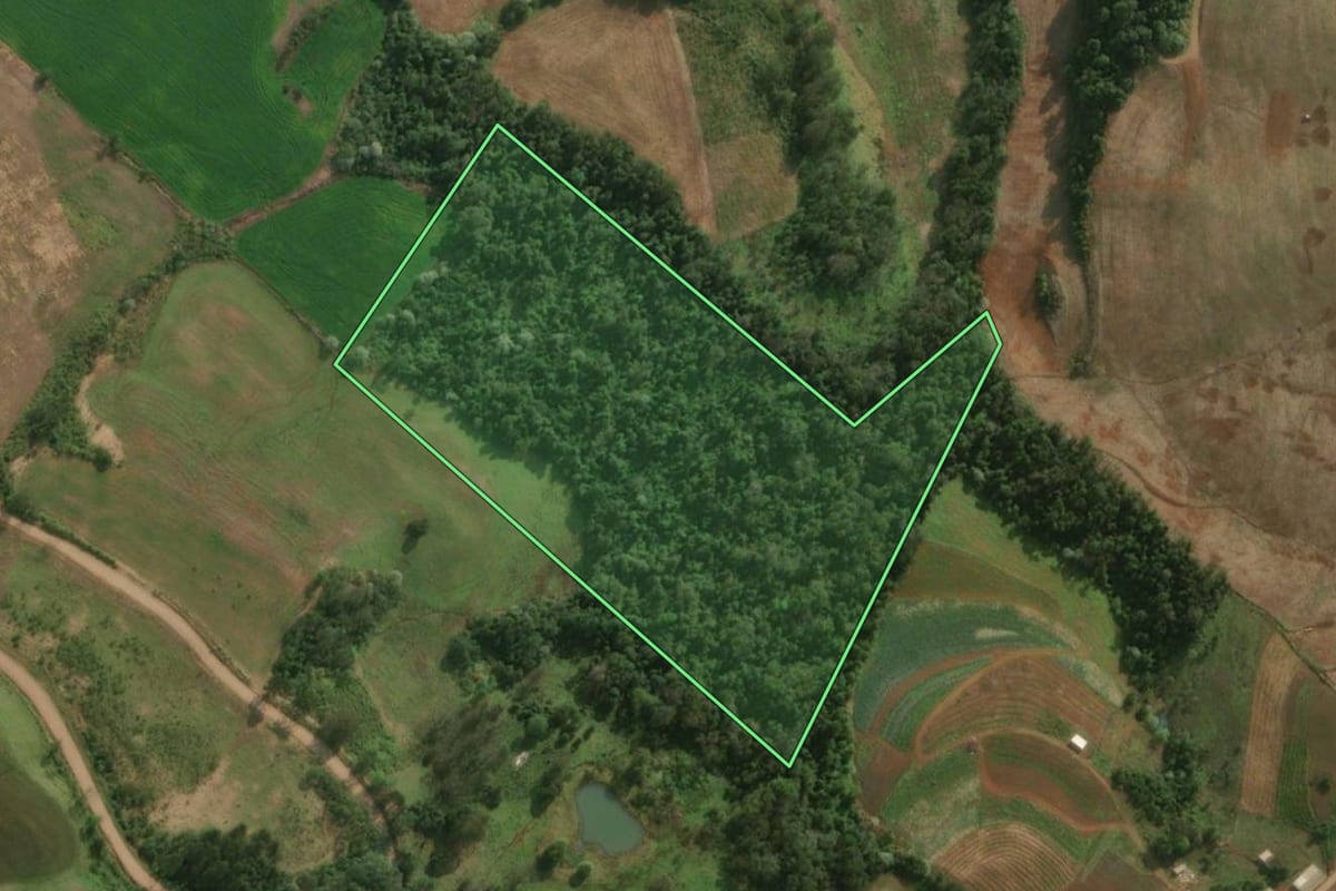 Imagem de satélite do imóvel rural em Descanso (SC), com o contorno declarado no CAR desenhado por cima.