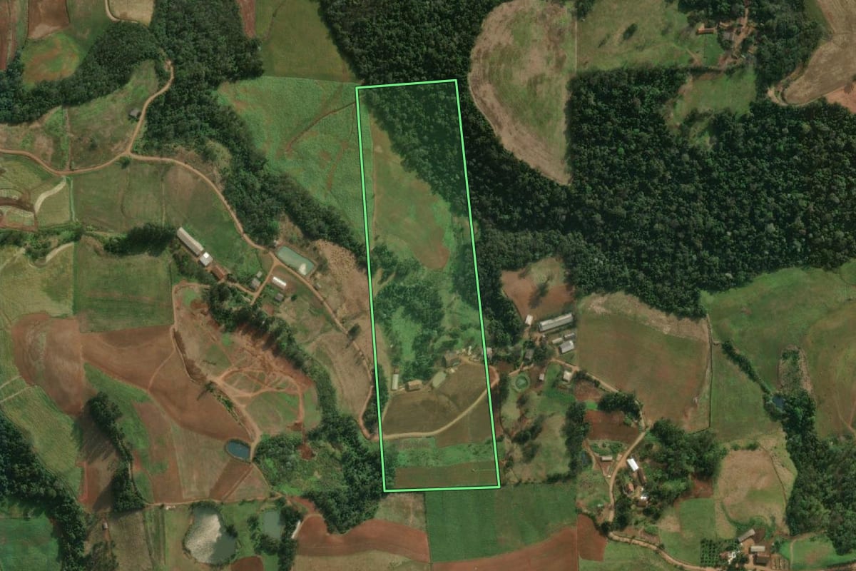 Imagem de satélite do imóvel rural em Descanso (SC), com o contorno declarado no CAR desenhado por cima.