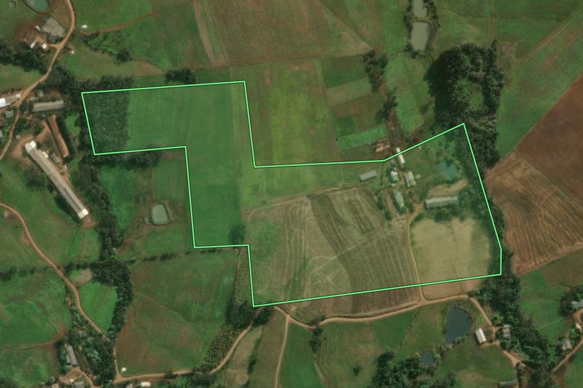 Imagem de satélite do imóvel rural em Descanso (SC), com o contorno declarado no CAR desenhado por cima.