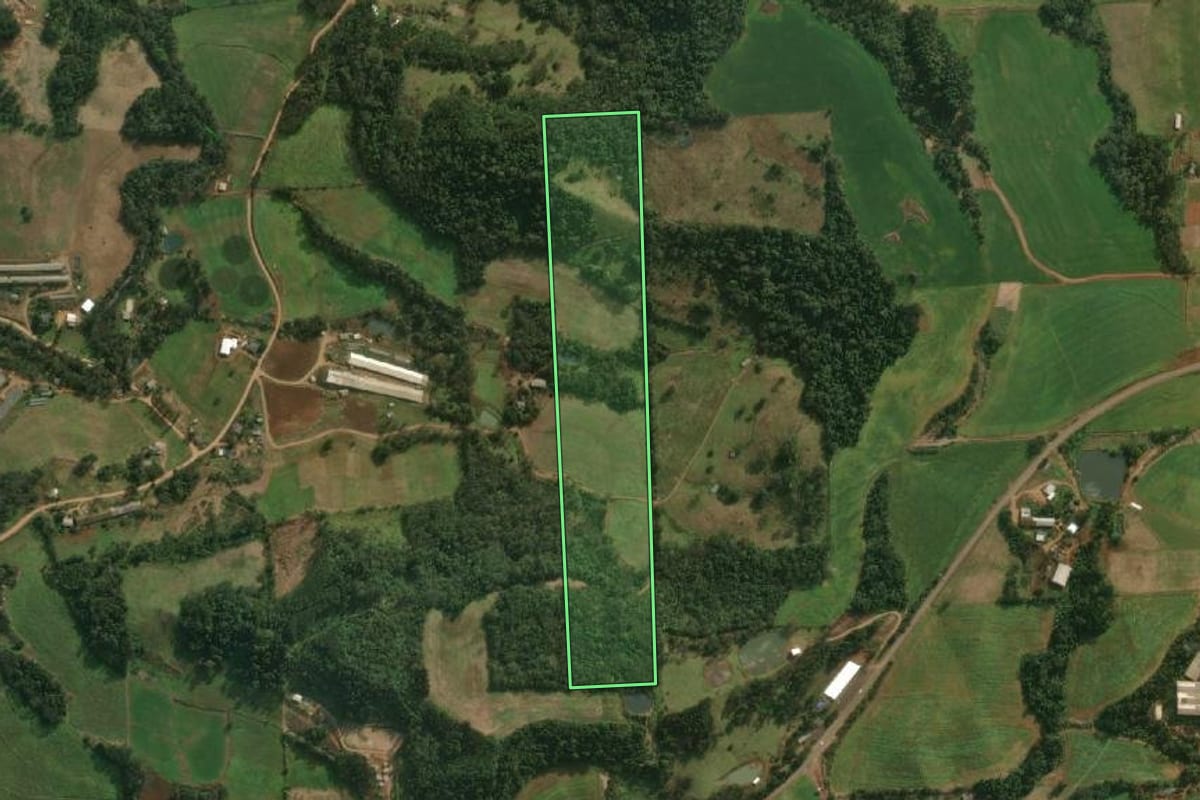 Imagem de satélite do imóvel rural em Descanso (SC), com o contorno declarado no CAR desenhado por cima.