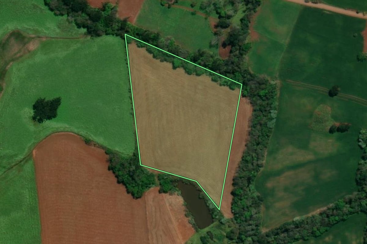 Imagem de satélite do imóvel rural em Descanso (SC), com o contorno declarado no CAR desenhado por cima.
