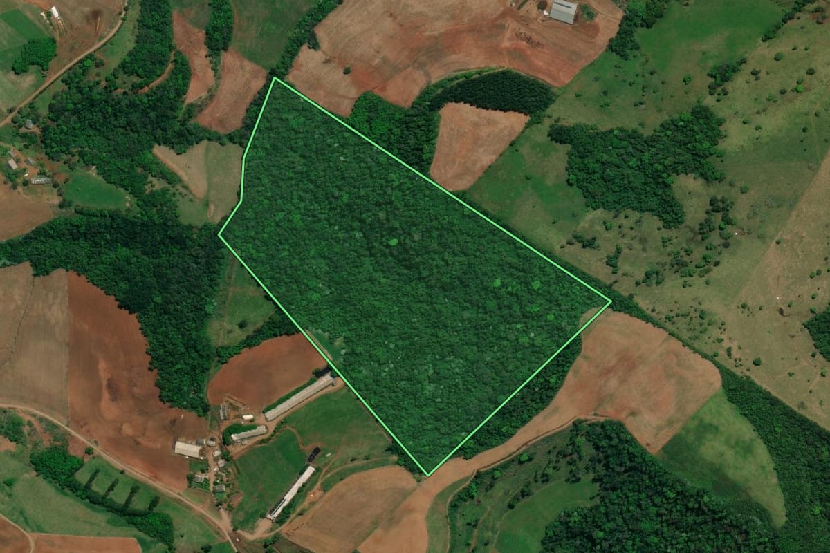 Imagem de satélite do imóvel rural em Descanso (SC), com o contorno declarado no CAR desenhado por cima.
