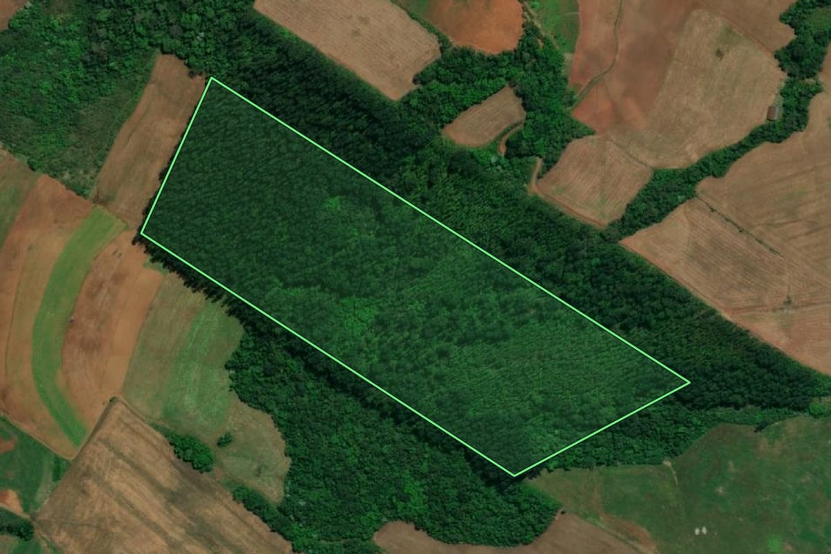 Imagem de satélite do imóvel rural em Descanso (SC), com o contorno declarado no CAR desenhado por cima.