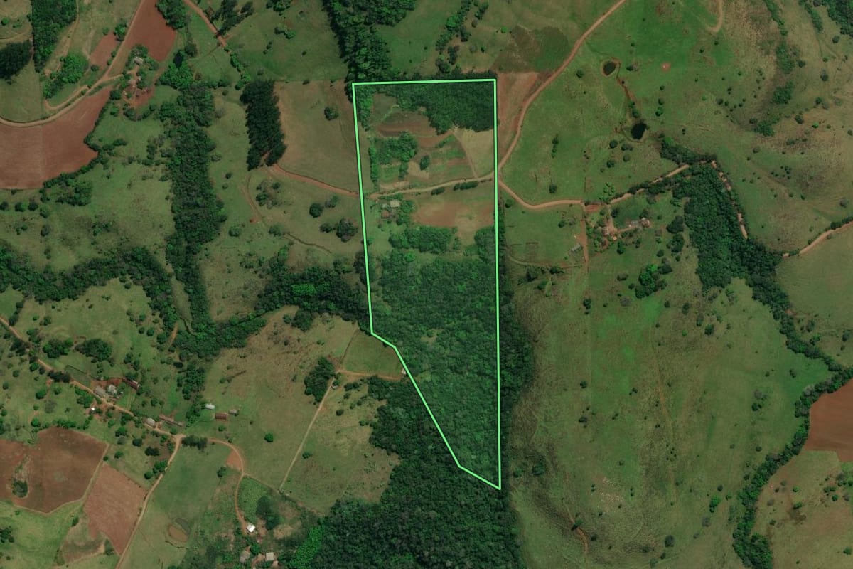 Imagem de satélite do imóvel rural em Descanso (SC), com o contorno declarado no CAR desenhado por cima.