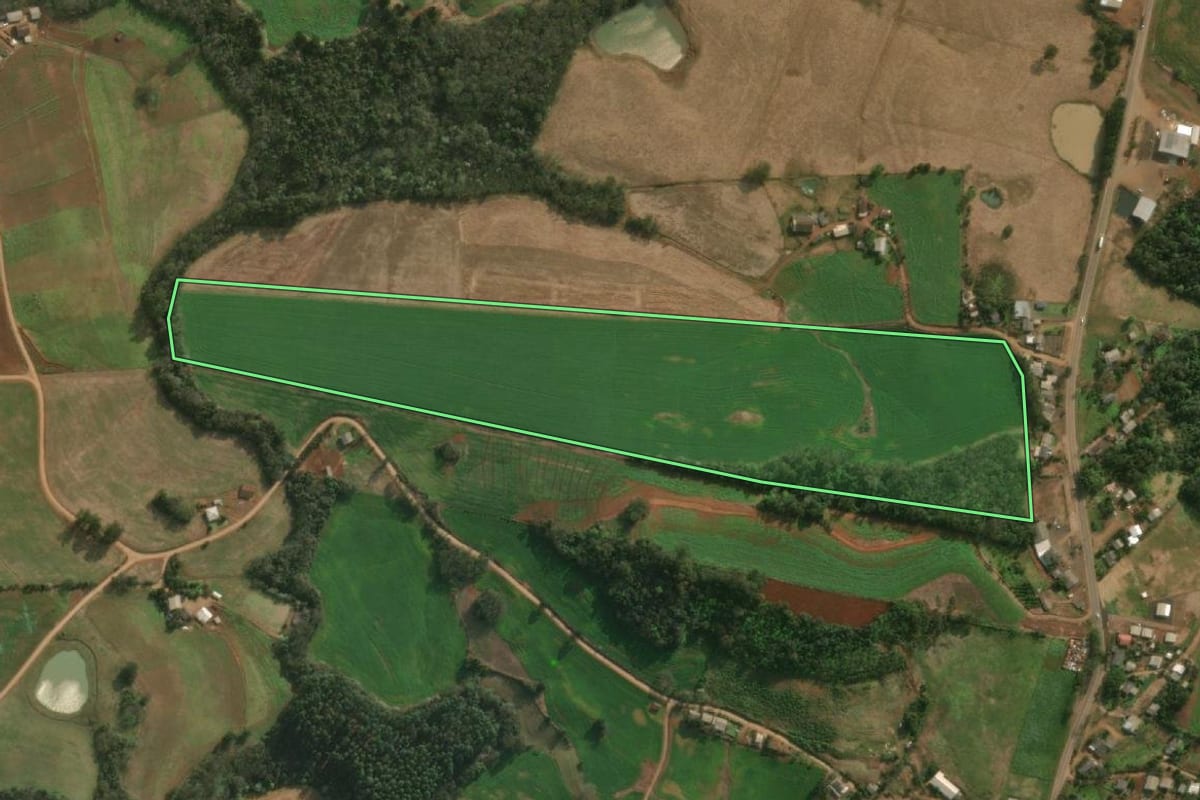 Imagem de satélite do imóvel rural em Descanso (SC), com o contorno declarado no CAR desenhado por cima.