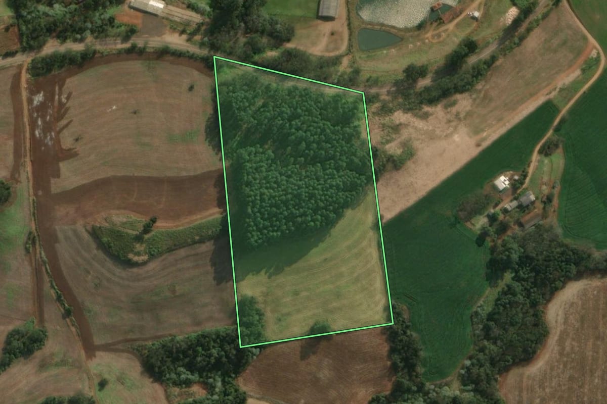 Imagem de satélite do imóvel rural em Descanso (SC), com o contorno declarado no CAR desenhado por cima.