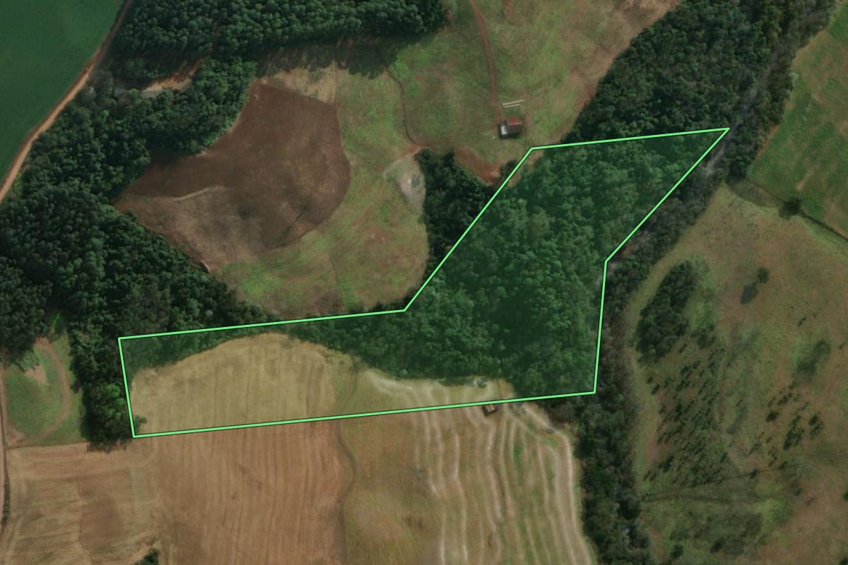 Imagem de satélite do imóvel rural em Descanso (SC), com o contorno declarado no CAR desenhado por cima.