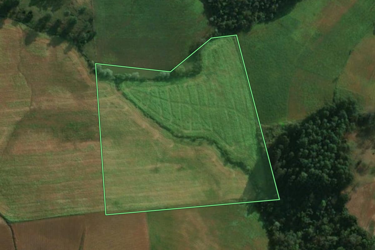Imagem de satélite do imóvel rural em Descanso (SC), com o contorno declarado no CAR desenhado por cima.