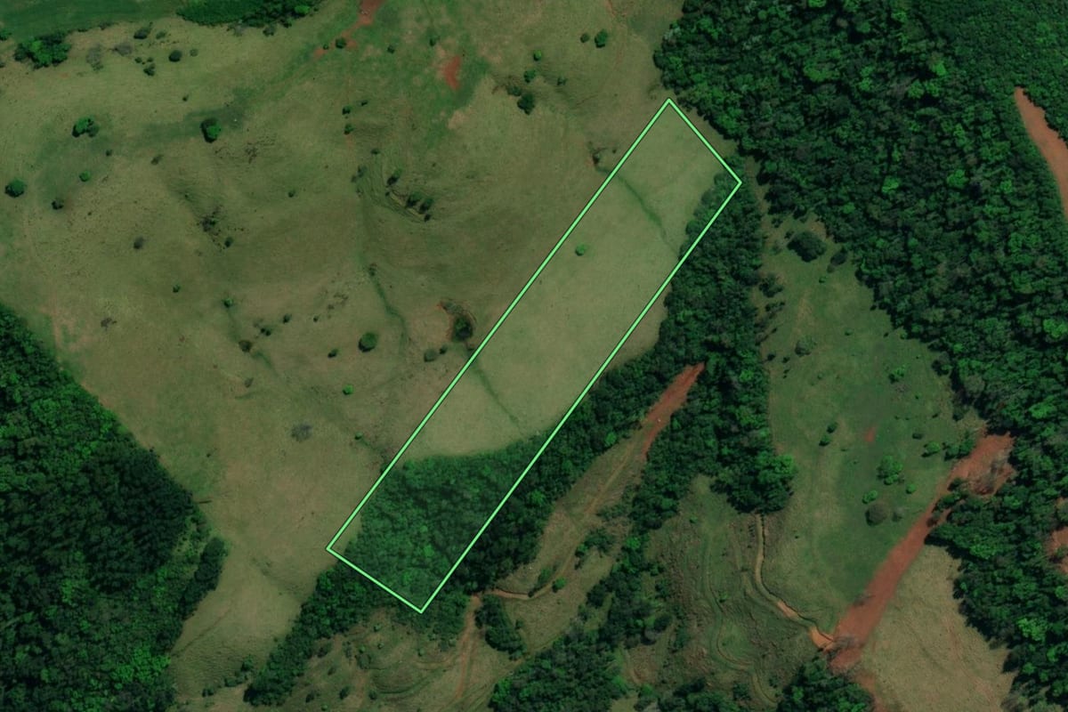 Imagem de satélite do imóvel rural em Descanso (SC), com o contorno declarado no CAR desenhado por cima.