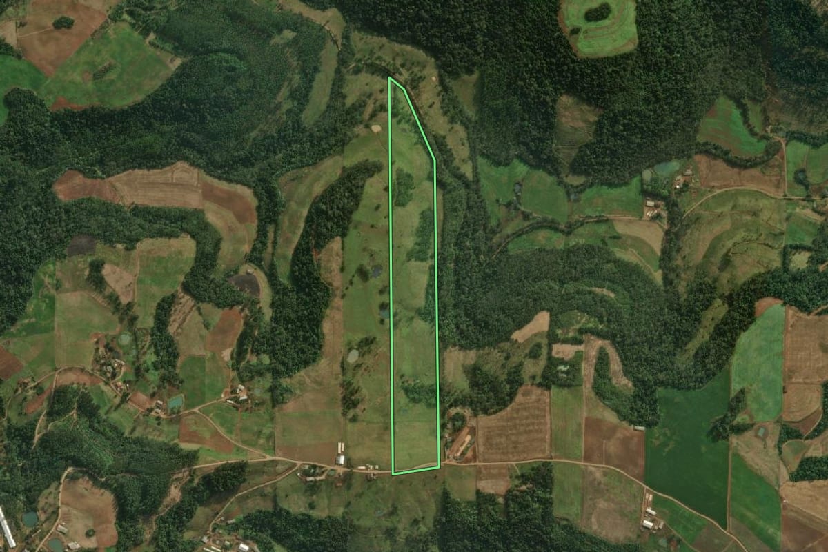 Imagem de satélite do imóvel rural em Descanso (SC), com o contorno declarado no CAR desenhado por cima.