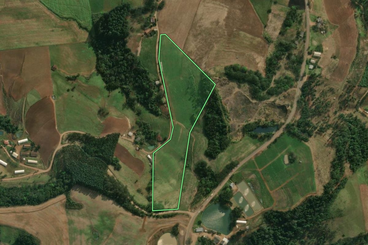 Imagem de satélite do imóvel rural em Descanso (SC), com o contorno declarado no CAR desenhado por cima.