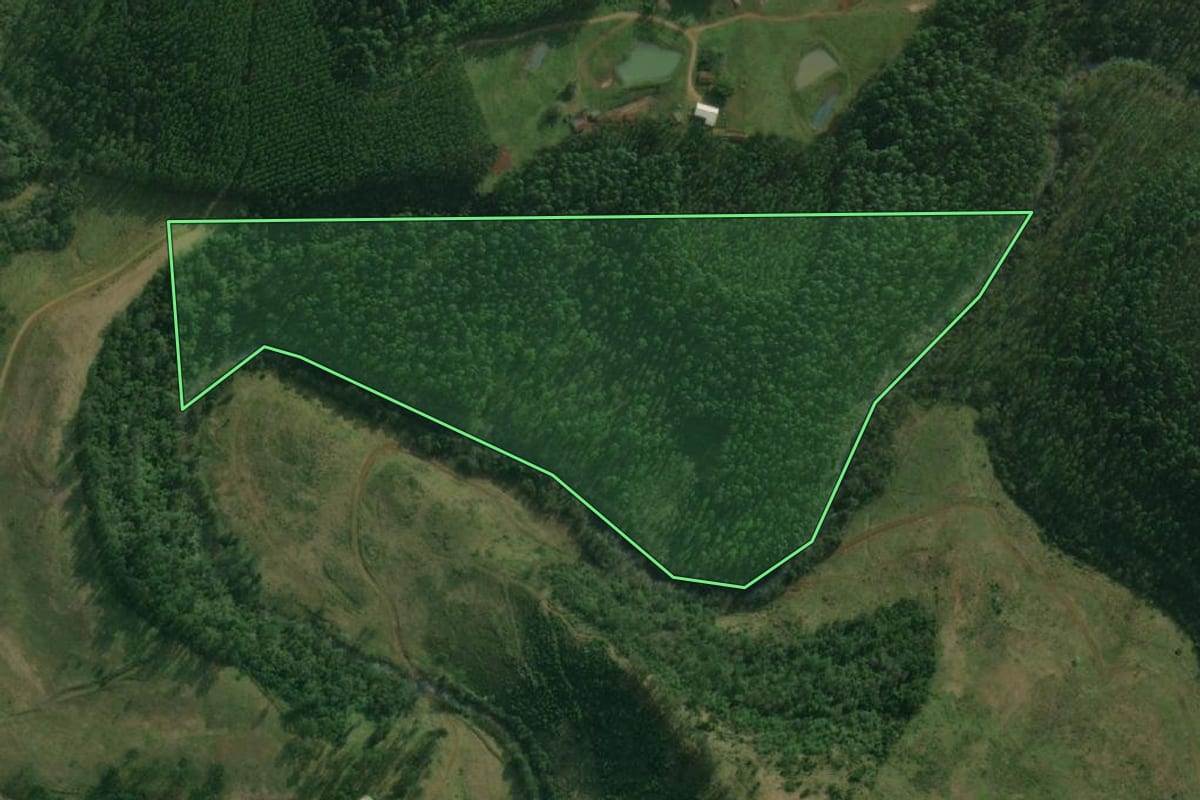 Imagem de satélite do imóvel rural em Descanso (SC), com o contorno declarado no CAR desenhado por cima.