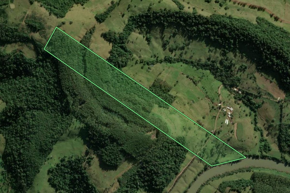 Imagem de satélite do imóvel rural em Descanso (SC), com o contorno declarado no CAR desenhado por cima.