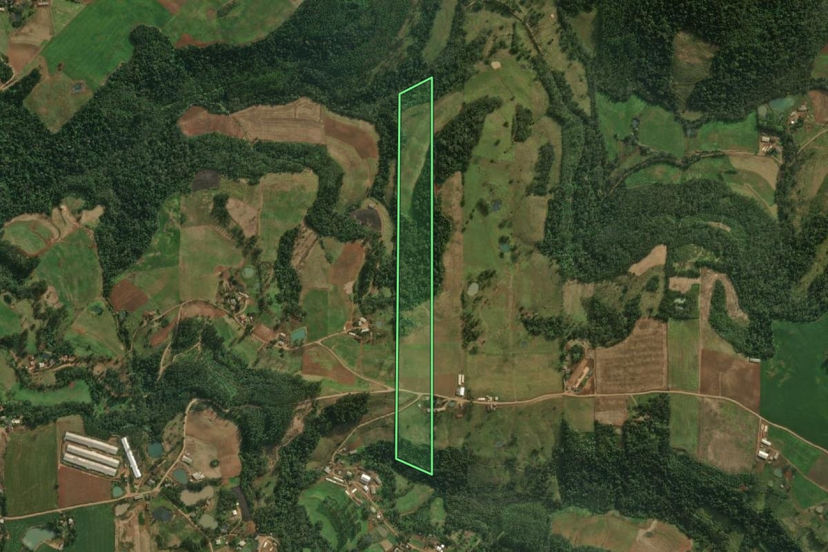 Imagem de satélite do imóvel rural em Descanso (SC), com o contorno declarado no CAR desenhado por cima.