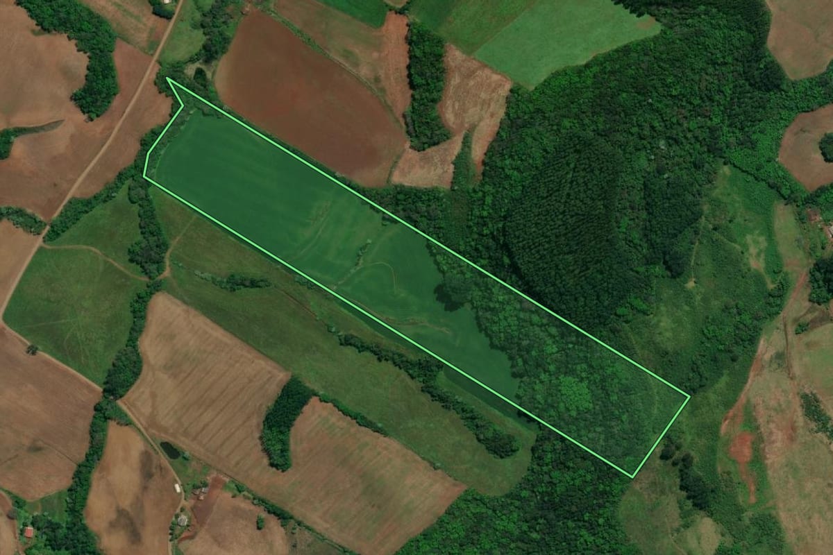 Imagem de satélite do imóvel rural em Descanso (SC), com o contorno declarado no CAR desenhado por cima.