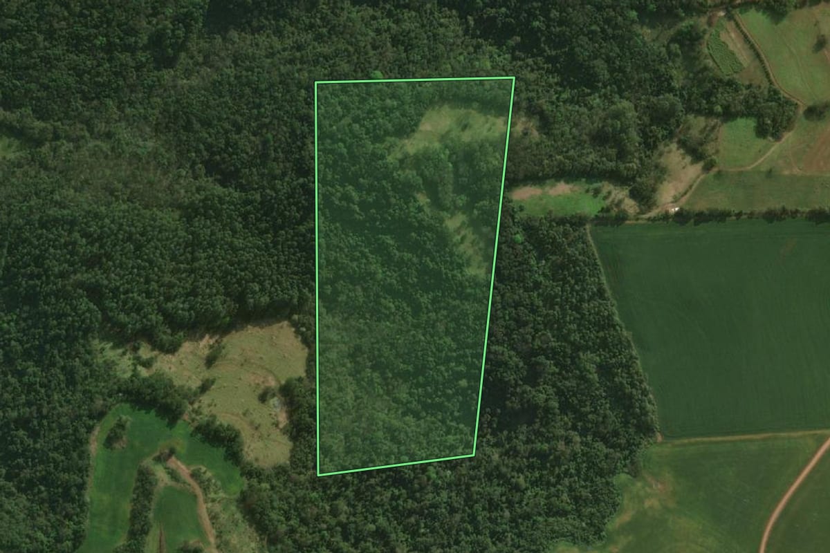 Imagem de satélite do imóvel rural em Descanso (SC), com o contorno declarado no CAR desenhado por cima.