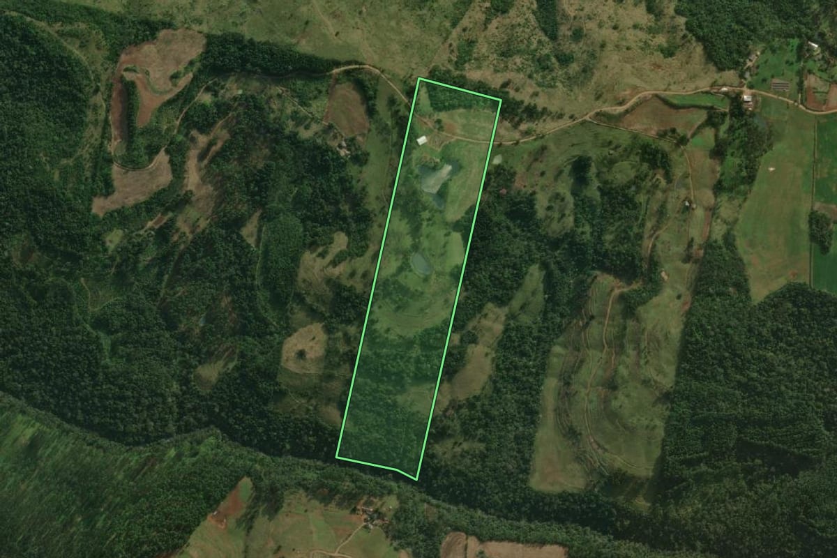 Imagem de satélite do imóvel rural em Descanso (SC), com o contorno declarado no CAR desenhado por cima.