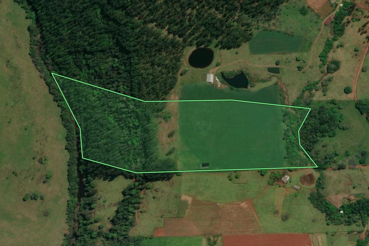Imagem de satélite do imóvel rural em Descanso (SC), com o contorno declarado no CAR desenhado por cima.