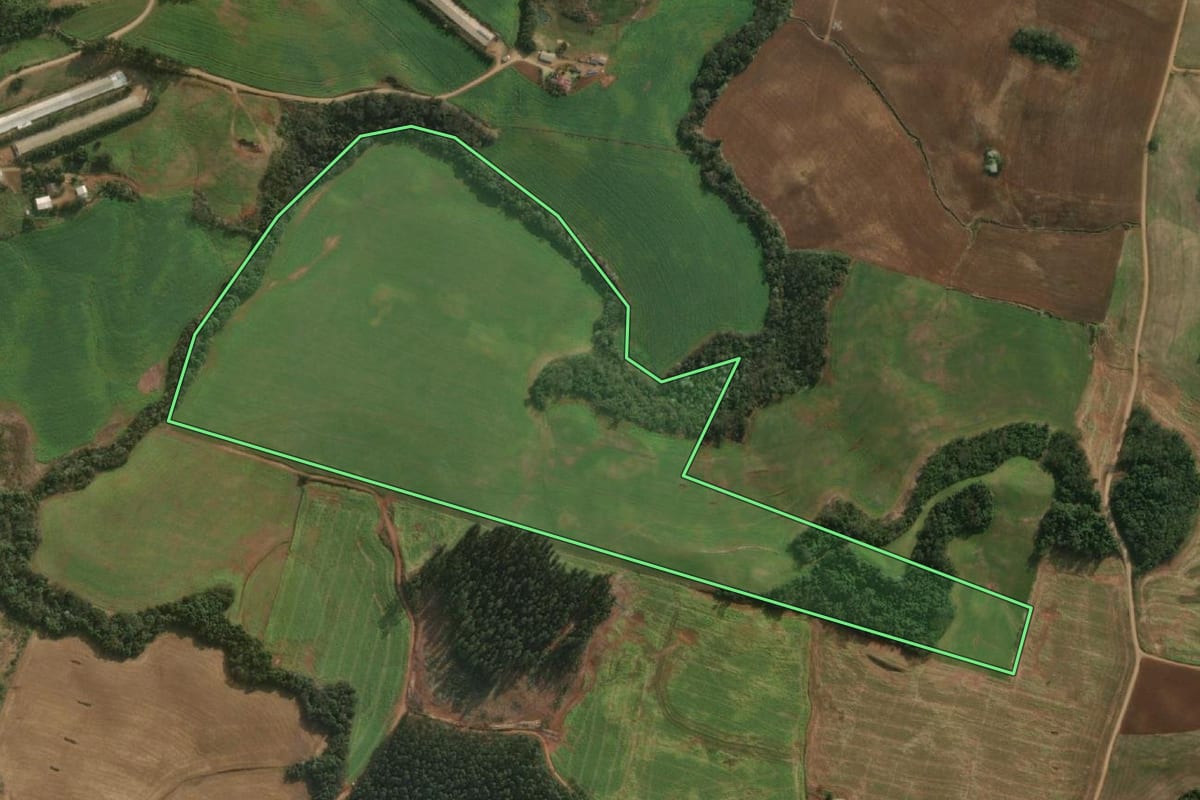Imagem de satélite do imóvel rural em Descanso (SC), com o contorno declarado no CAR desenhado por cima.