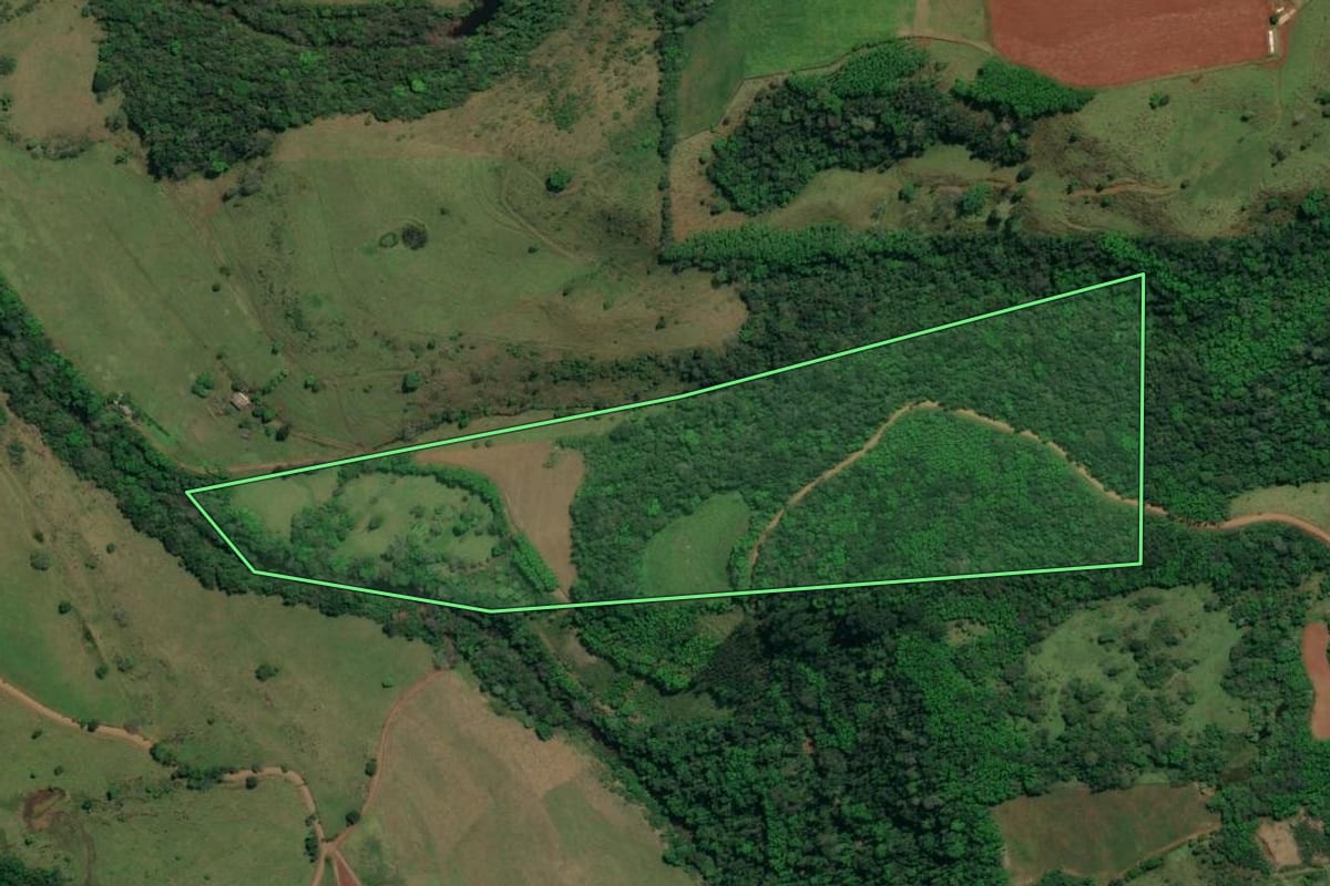 Imagem de satélite do imóvel rural em Descanso (SC), com o contorno declarado no CAR desenhado por cima.