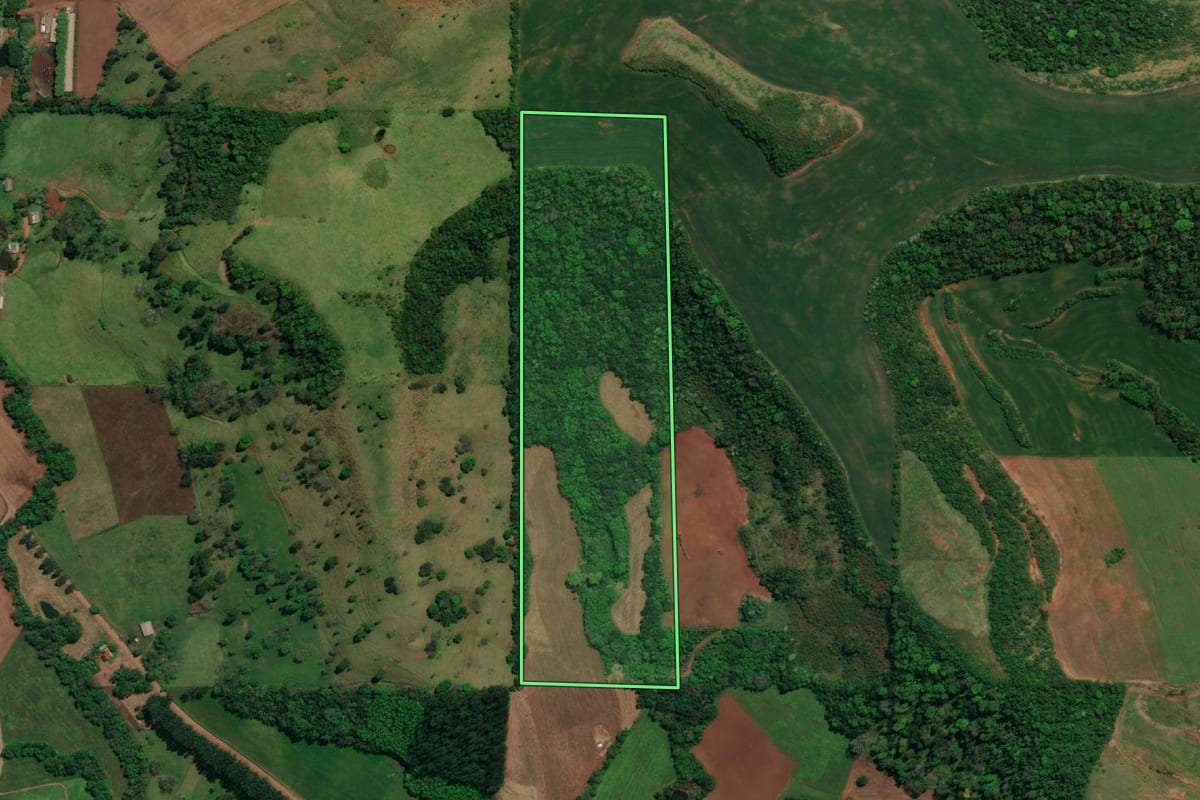 Imagem de satélite do imóvel rural em Descanso (SC), com o contorno declarado no CAR desenhado por cima.