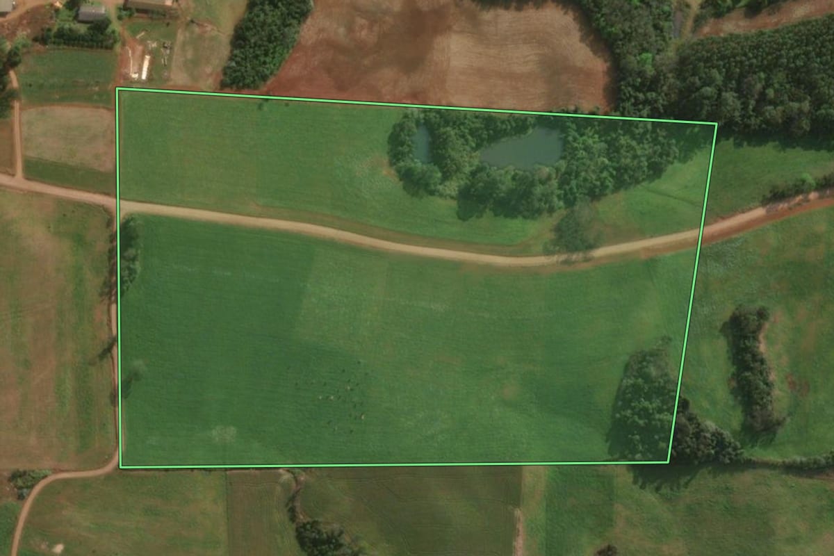 Imagem de satélite do imóvel rural em Descanso (SC), com o contorno declarado no CAR desenhado por cima.