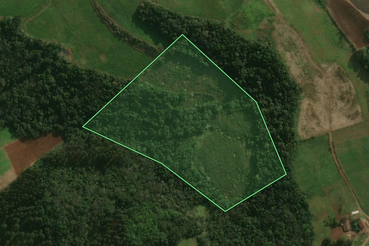 Imagem de satélite do imóvel rural em Dionísio Cerqueira (SC), com o contorno declarado no CAR desenhado por cima.