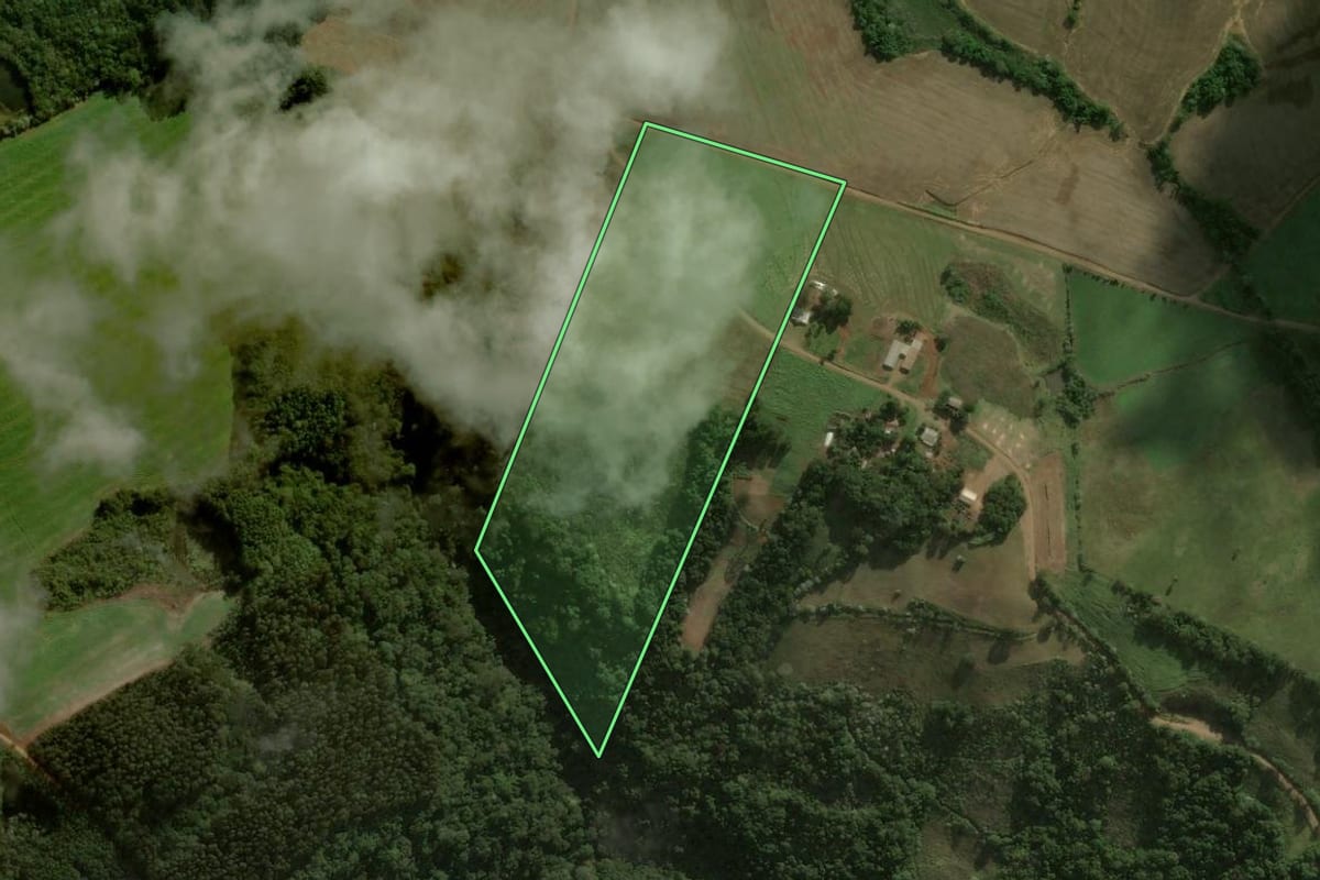 Imagem de satélite do imóvel rural em Dionísio Cerqueira (SC), com o contorno declarado no CAR desenhado por cima.