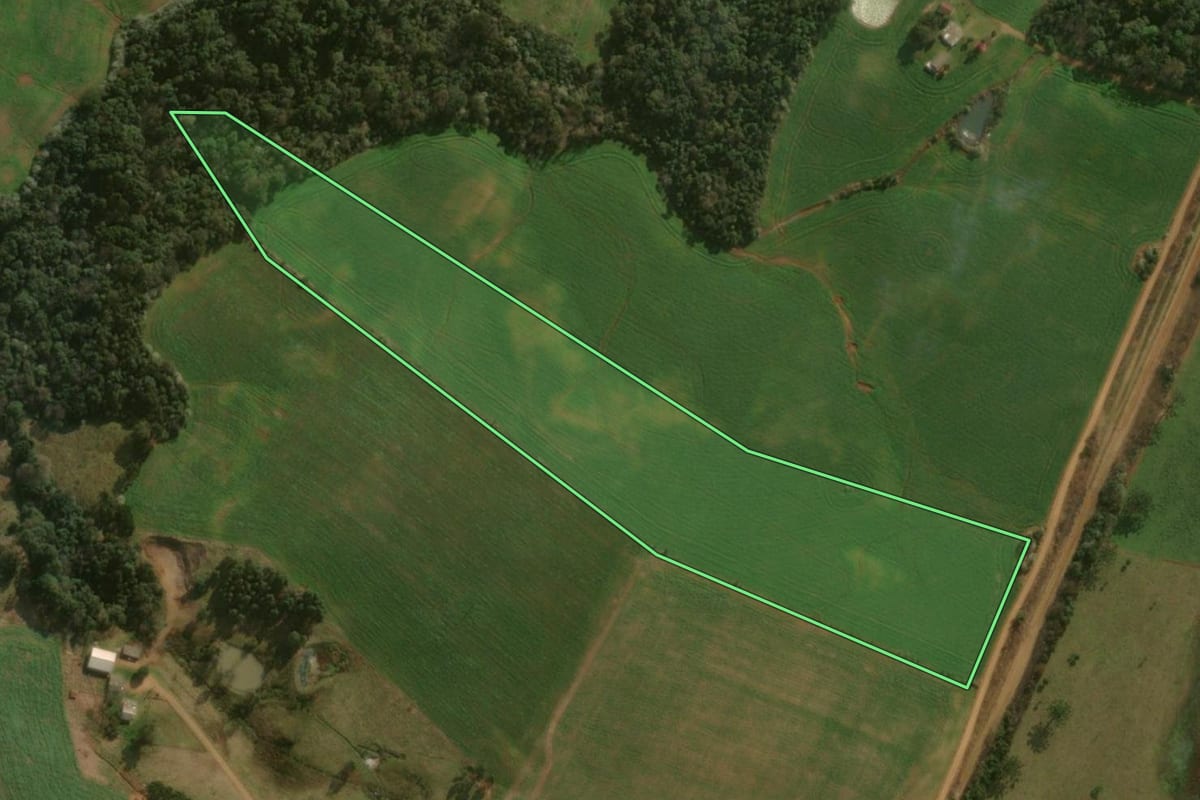 Imagem de satélite do imóvel rural em Dionísio Cerqueira (SC), com o contorno declarado no CAR desenhado por cima.