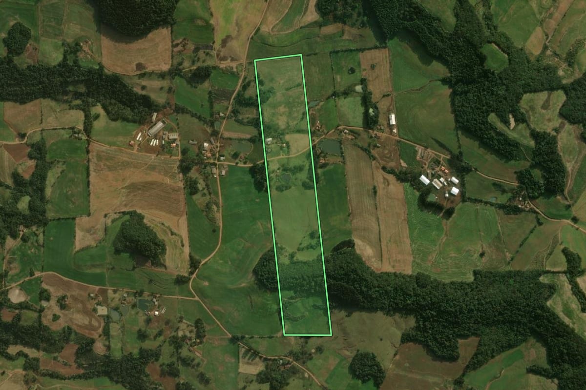 Imagem de satélite do imóvel rural em Dionísio Cerqueira (SC), com o contorno declarado no CAR desenhado por cima.
