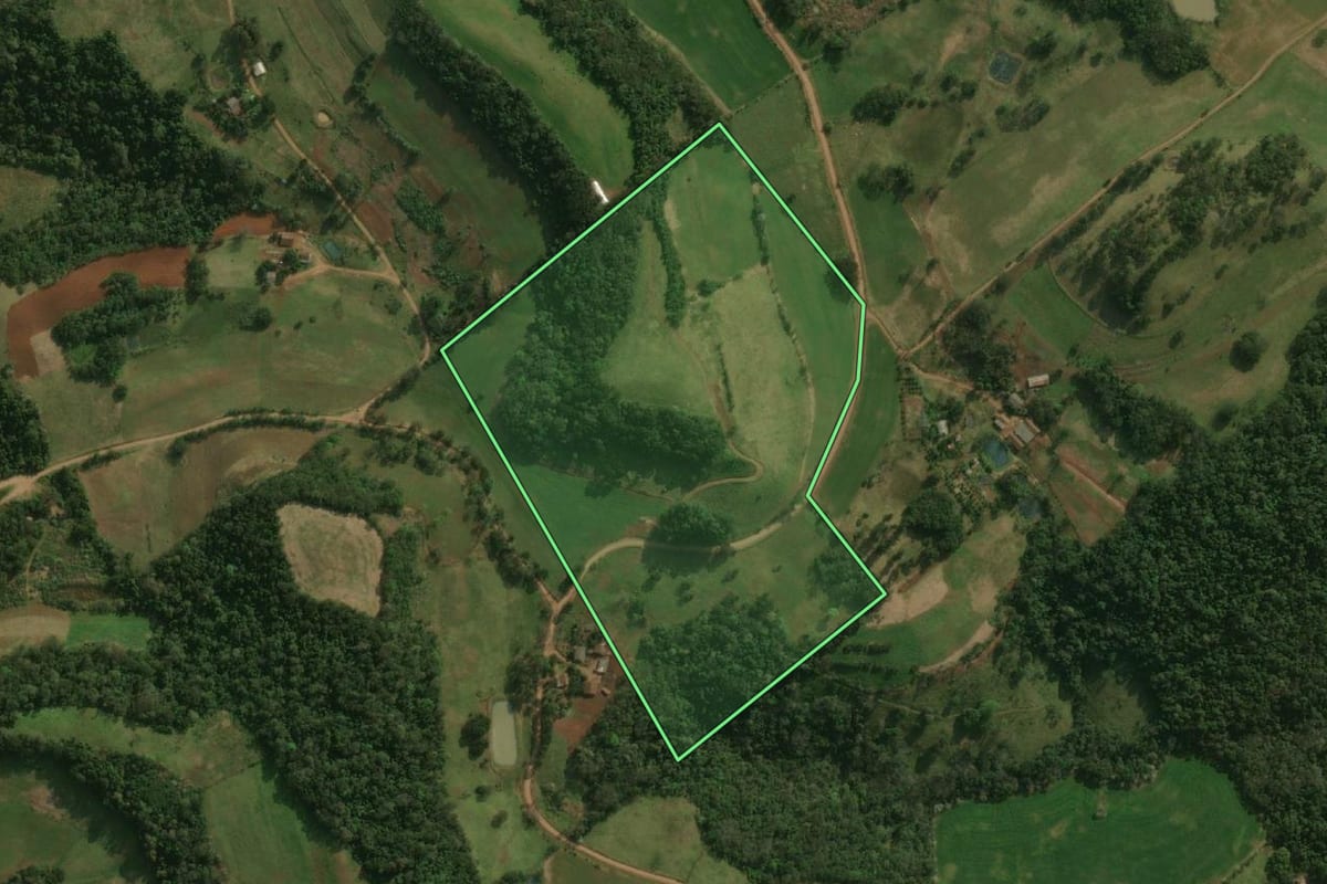 Imagem de satélite do imóvel rural em Dionísio Cerqueira (SC), com o contorno declarado no CAR desenhado por cima.
