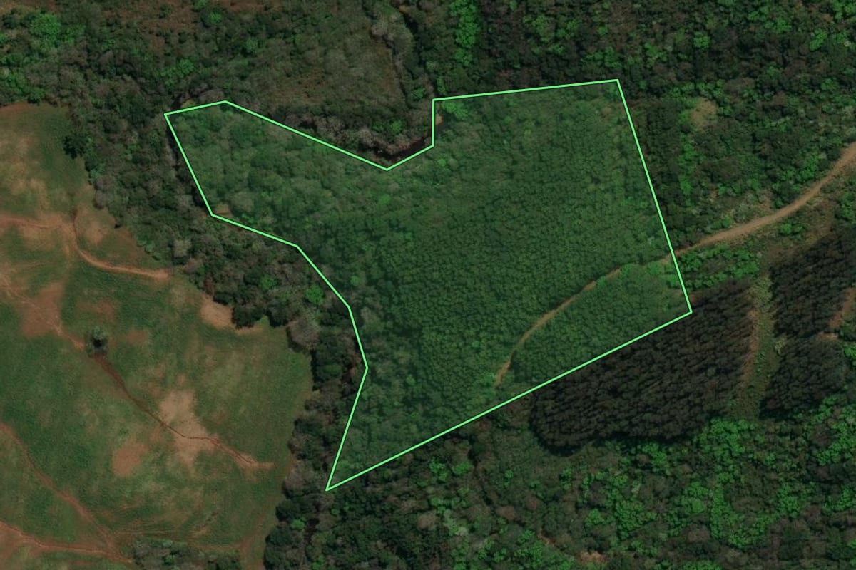 Imagem de satélite do imóvel rural em Dionísio Cerqueira (SC), com o contorno declarado no CAR desenhado por cima.