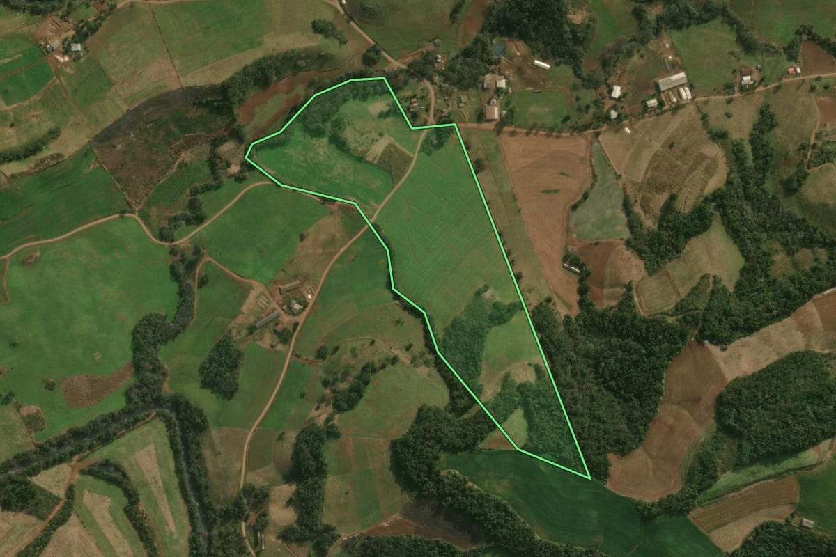 Imagem de satélite do imóvel rural em Dionísio Cerqueira (SC), com o contorno declarado no CAR desenhado por cima.