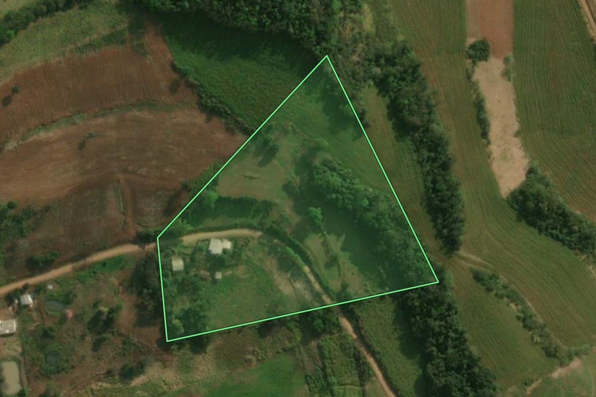Imagem de satélite do imóvel rural em Dionísio Cerqueira (SC), com o contorno declarado no CAR desenhado por cima.