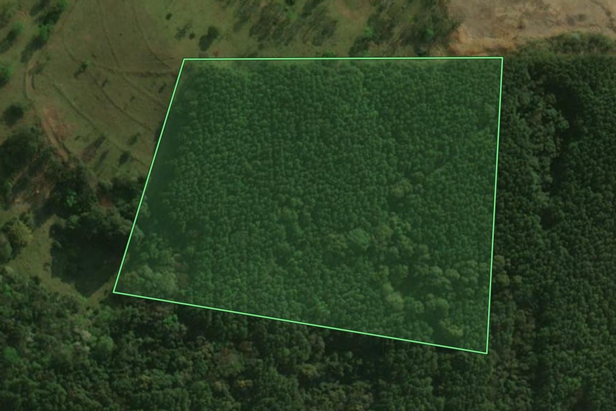Imagem de satélite do imóvel rural em Dionísio Cerqueira (SC), com o contorno declarado no CAR desenhado por cima.