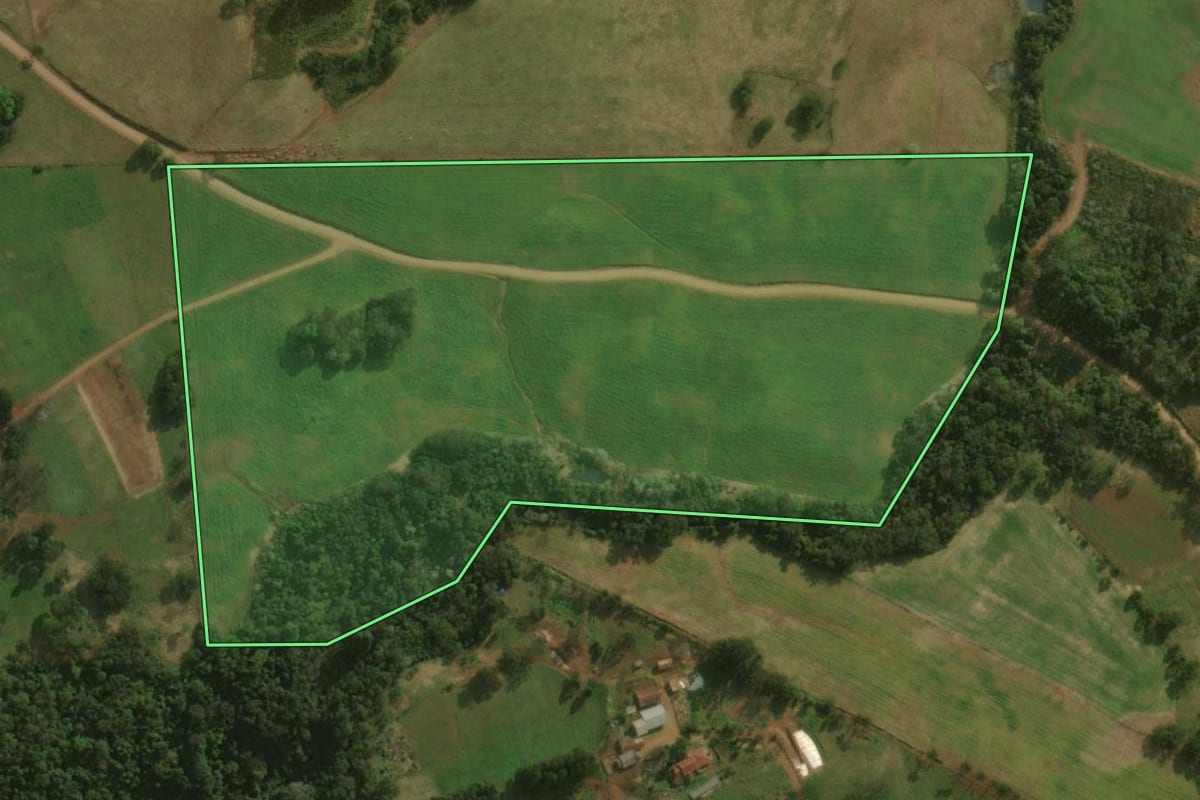 Imagem de satélite do imóvel rural em Dionísio Cerqueira (SC), com o contorno declarado no CAR desenhado por cima.