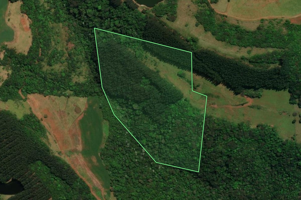 Imagem de satélite do imóvel rural em Dionísio Cerqueira (SC), com o contorno declarado no CAR desenhado por cima.